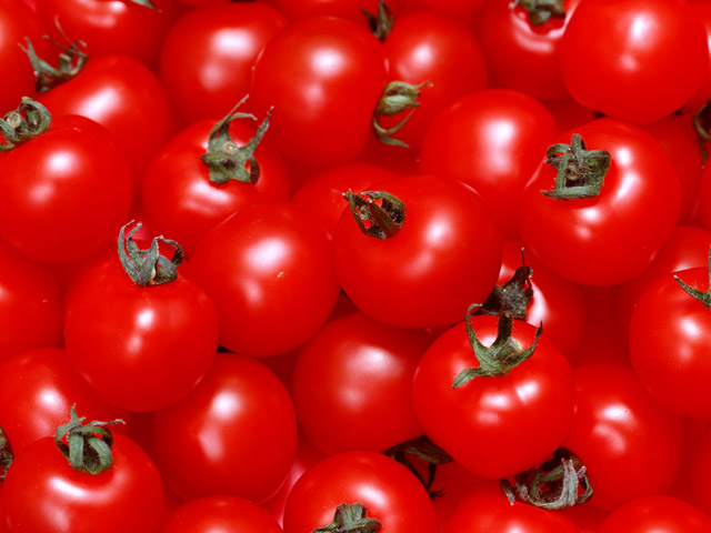 mini_tomato2