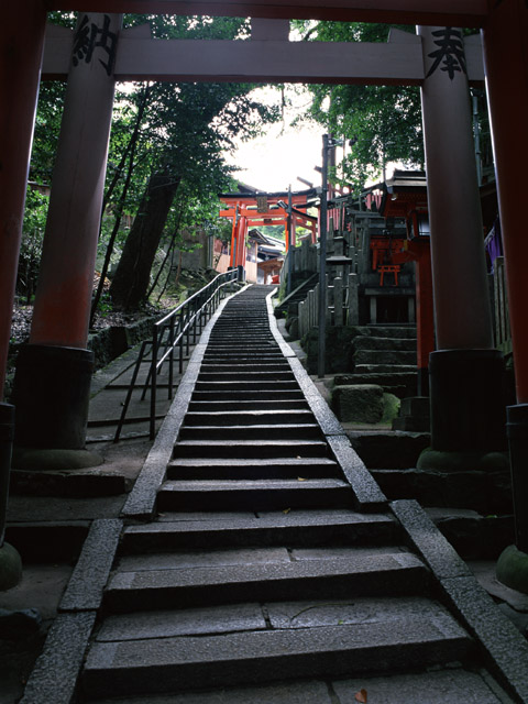 本殿までの道